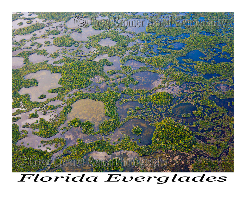 Aerial Photo of The Florida Everglades, Florida