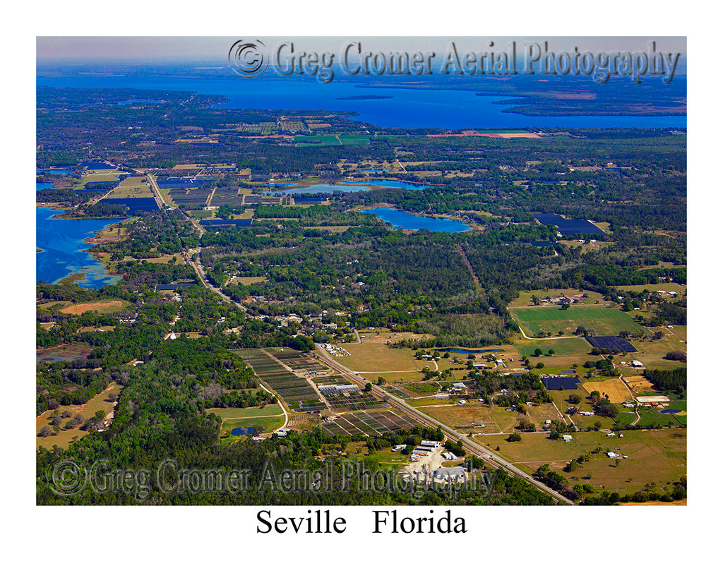 Aerial Photo of Seville, Florida