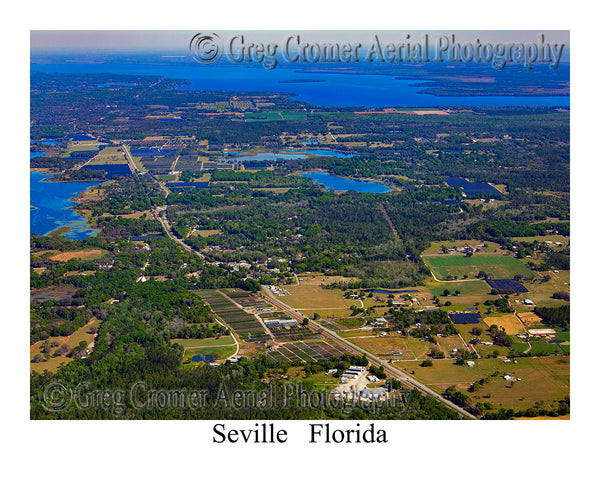 Aerial Photo of Seville, Florida