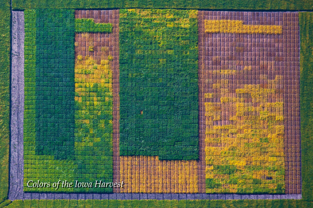 Aerial Photo - Testing One Two Three- from the Colors of the Iowa Harvest Series - Iowa
