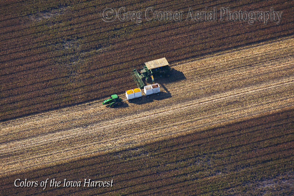 Aerial Photo - Bounty- from the Colors of the Iowa Harvest Series - Iowa