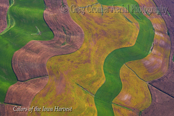 Aerial Photo - Ribbon Candy - from the Colors of the Iowa Harvest Series - Iowa