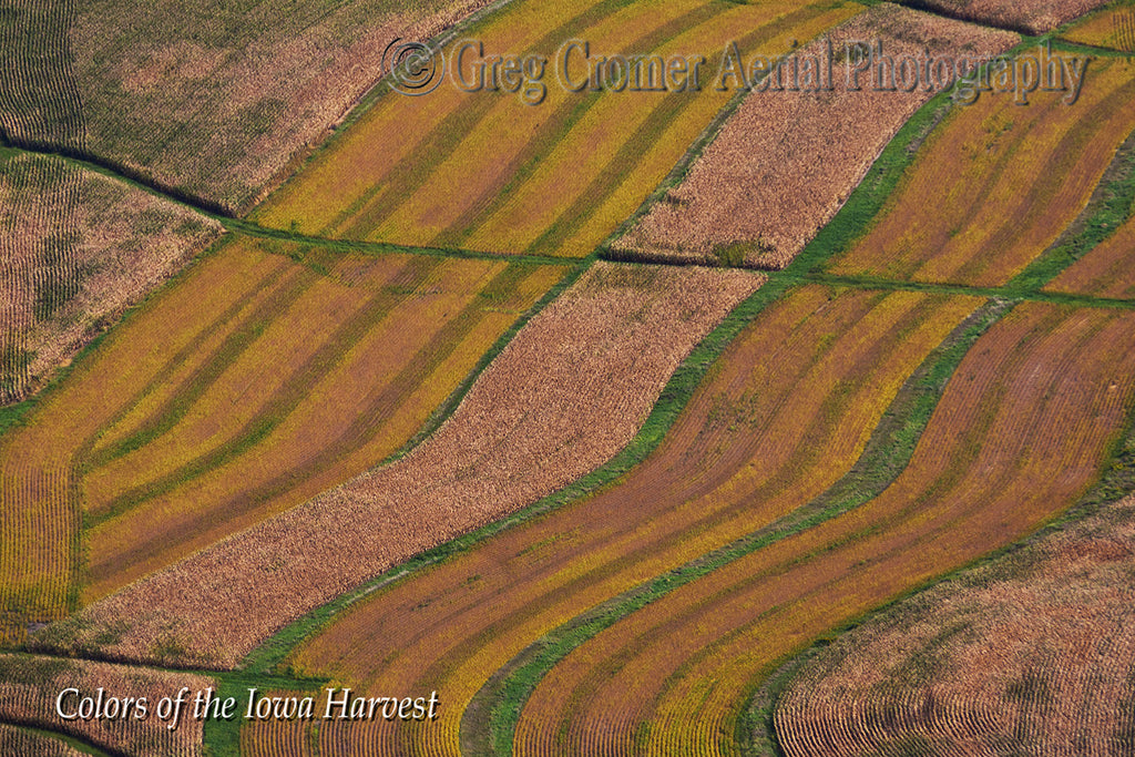 Aerial Photo - Iowa Bacon - from the Colors of the Iowa Harvest Series - Iowa