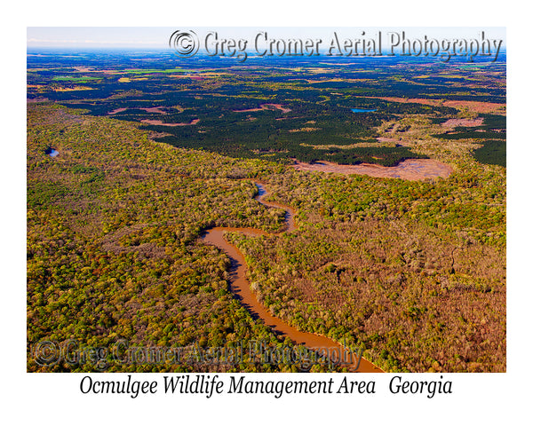 Aerial Photo of Ocmulgee Wildlife Management Area, Georgia