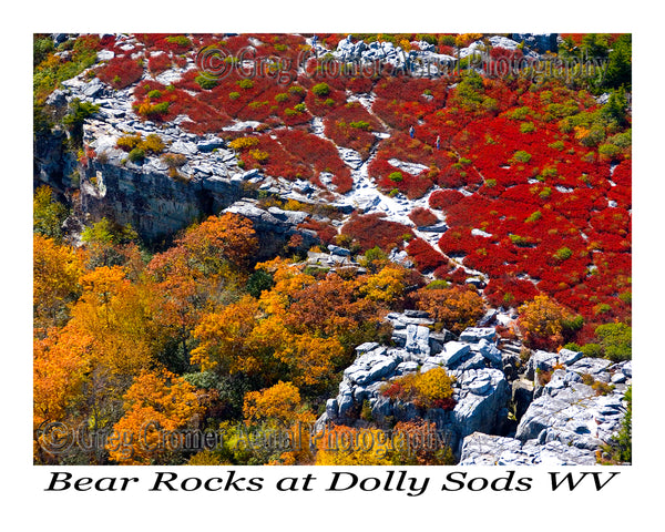 Aerial Photo of Bear Rocks - Dolly Sods, West Virginia