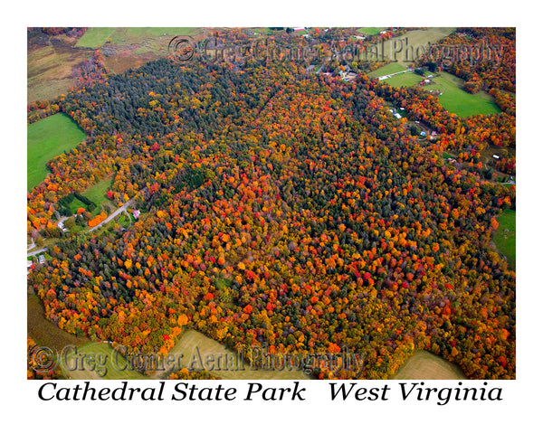 Aerial Photo of Cathedral State Park - Aurora, West Virginia