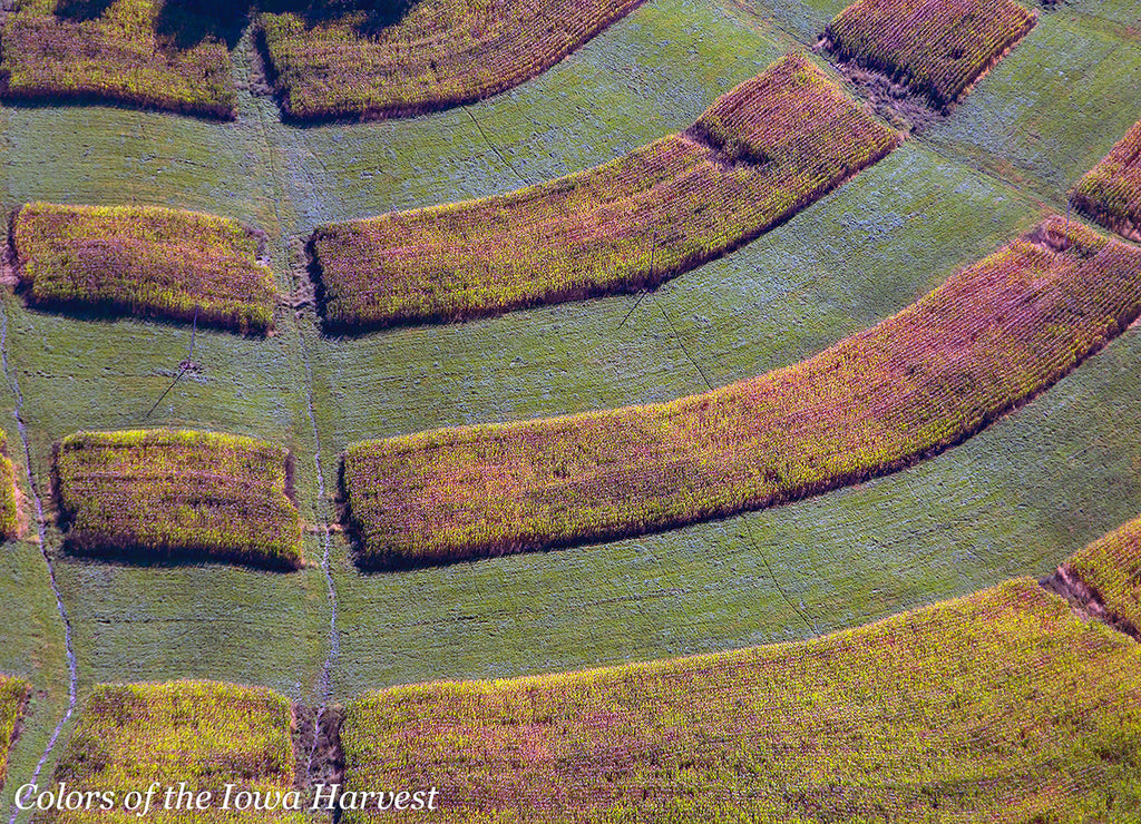 Aerial Photo: "Vinyl Grooves" - Colors of the Iowa Harvest - Northeast Iowa